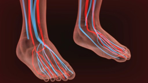 Causes, Symptoms, and Treatment of Poor Blood Circulation in the Feet